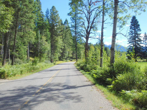 On the hard road that will lead to the town of Swan Lake.